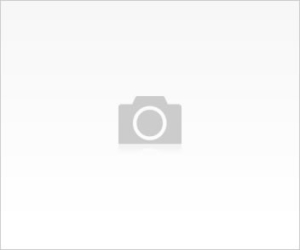 Kulak Çınlamasının Nedeni?
